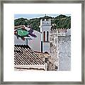 Fish Swimming In Vintage Town Roofs Framed Print