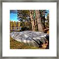 Five Canoes At Woodcraft Camp Framed Print
