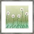 Five Days Of Daisies Framed Print