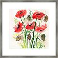Five Poppies Framed Print