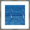 Five Sails Framed Print