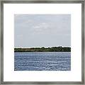 Fla Everglades Framed Print