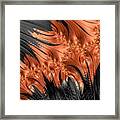 Flamenco - Series Number 2 Framed Print