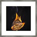 Flaming Dandelion Framed Print