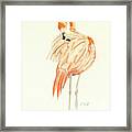 Flamingo Framed Print