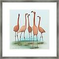 Flamingo Mingle Framed Print