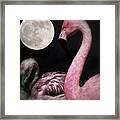 Flamingo Moon Framed Print