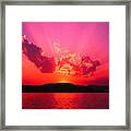 Flamingo Sunset Framed Print