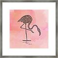 Flamingo4 Framed Print