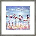 Flamingo's Paradise Framed Print