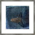 Flight Of A Feather Framed Print