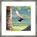 Flight Of The Heart Framed Print