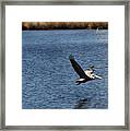 Flight Risk Framed Print