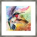 Da198 Flit The Hummingbird By Daniel Adams Framed Print