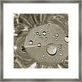 Floating Droplets Framed Print