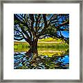 Flooded Oak Framed Print