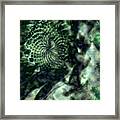 Floral Abstract I Framed Print