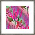 Floral Display 3 Framed Print