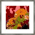 Floral Fiesta 2 Framed Print