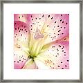 Floral I Framed Print