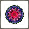 Floral Kaleidoscope By Kaye Menner Framed Print