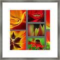 Floral Redzone Framed Print