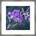 Flower 4 Framed Print