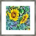 Flower #41 Framed Print