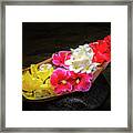 Flower Boat Framed Print