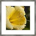 Flower Closeup Framed Print