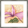 Flower Dance Framed Print