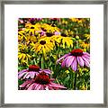 Flower Garden Of Pink And Yellow Framed Print