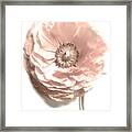 Flower Gem Framed Print