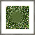 Flower Kaleidoscope Abstract Framed Print