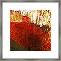 Flower Of Glass Framed Print