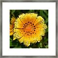 Flower Reflection In Water Drops Framed Print
