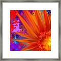 Flowered Sunburst Framed Print