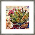 Flowering Opuntia Framed Print