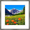 Flowering Valley. Mountain Karatash Framed Print