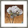 Flowers #7 Framed Print