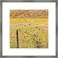 Flowers And Fence Framed Print