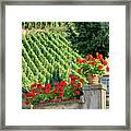 Flowers And Vines Framed Print