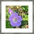 Flowers Framed Print