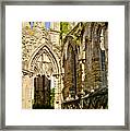 Flowers, Arched Windows And Sky. Framed Print