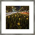 Flowers At Night On Chicago's Mag Mile Framed Print