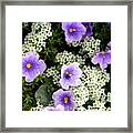 Flowers Etc Framed Print