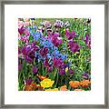 Flowers Mix From Descanso Garden Framed Print