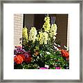 Flowers Outdoors Assorted Framed Print