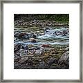 Flowing Western Stream In Glacier National Park Framed Print