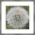 Fluffy Dandelion Mosaic Framed Print